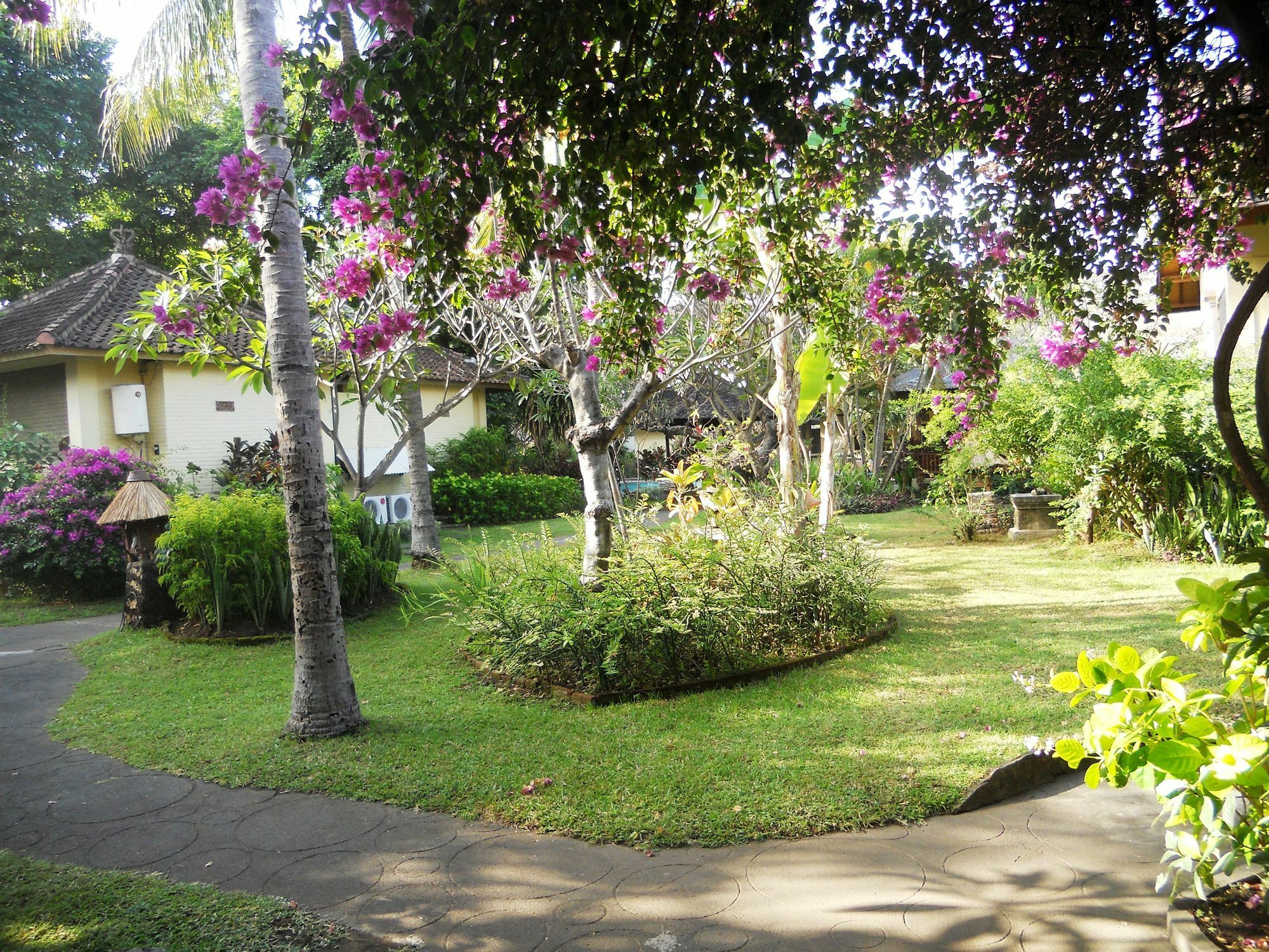 Bali Lovina Beach Cottages Pabean Buleleng Eksteriør billede