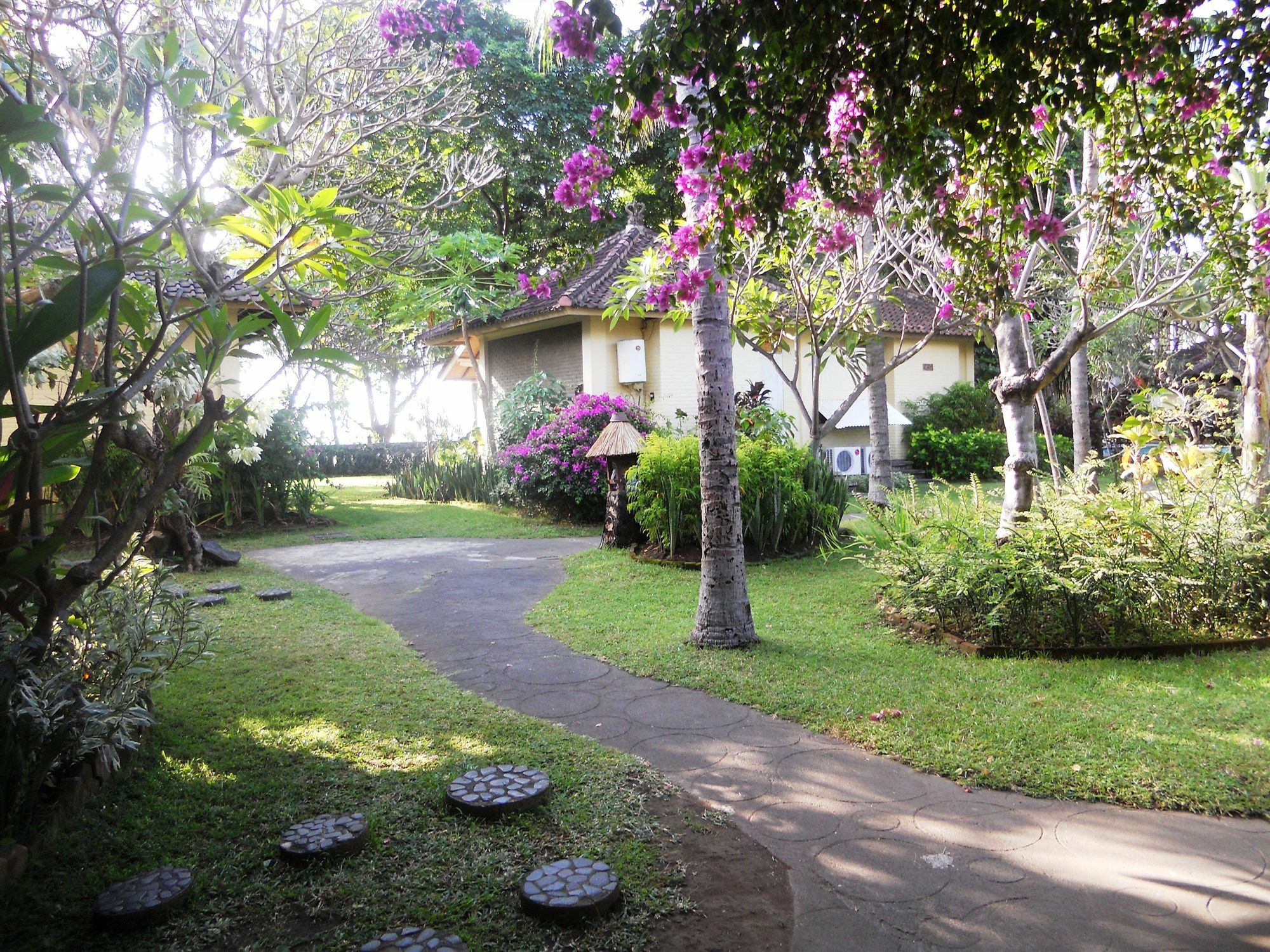 Bali Lovina Beach Cottages Pabean Buleleng Eksteriør billede