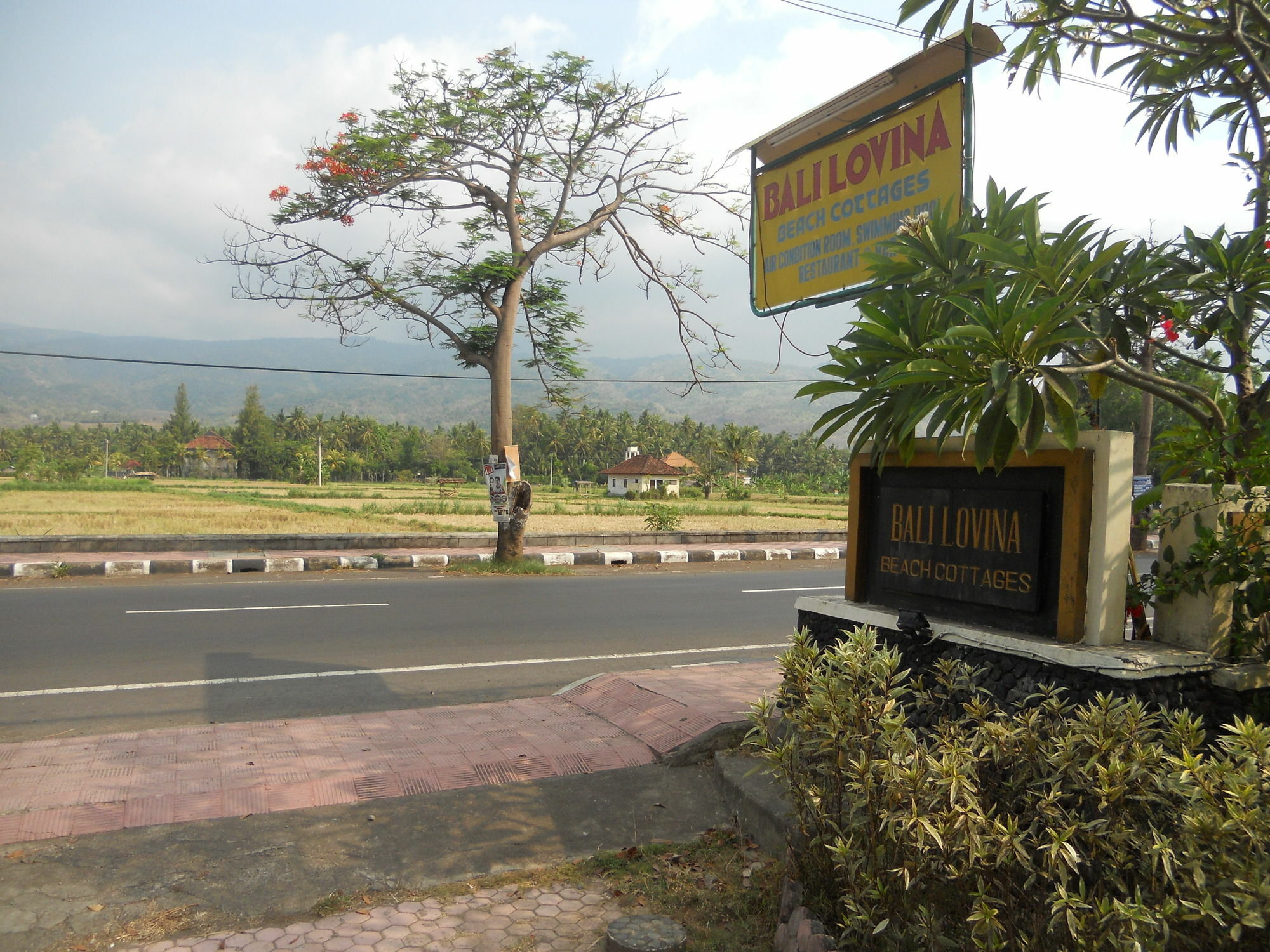 Bali Lovina Beach Cottages Pabean Buleleng Eksteriør billede