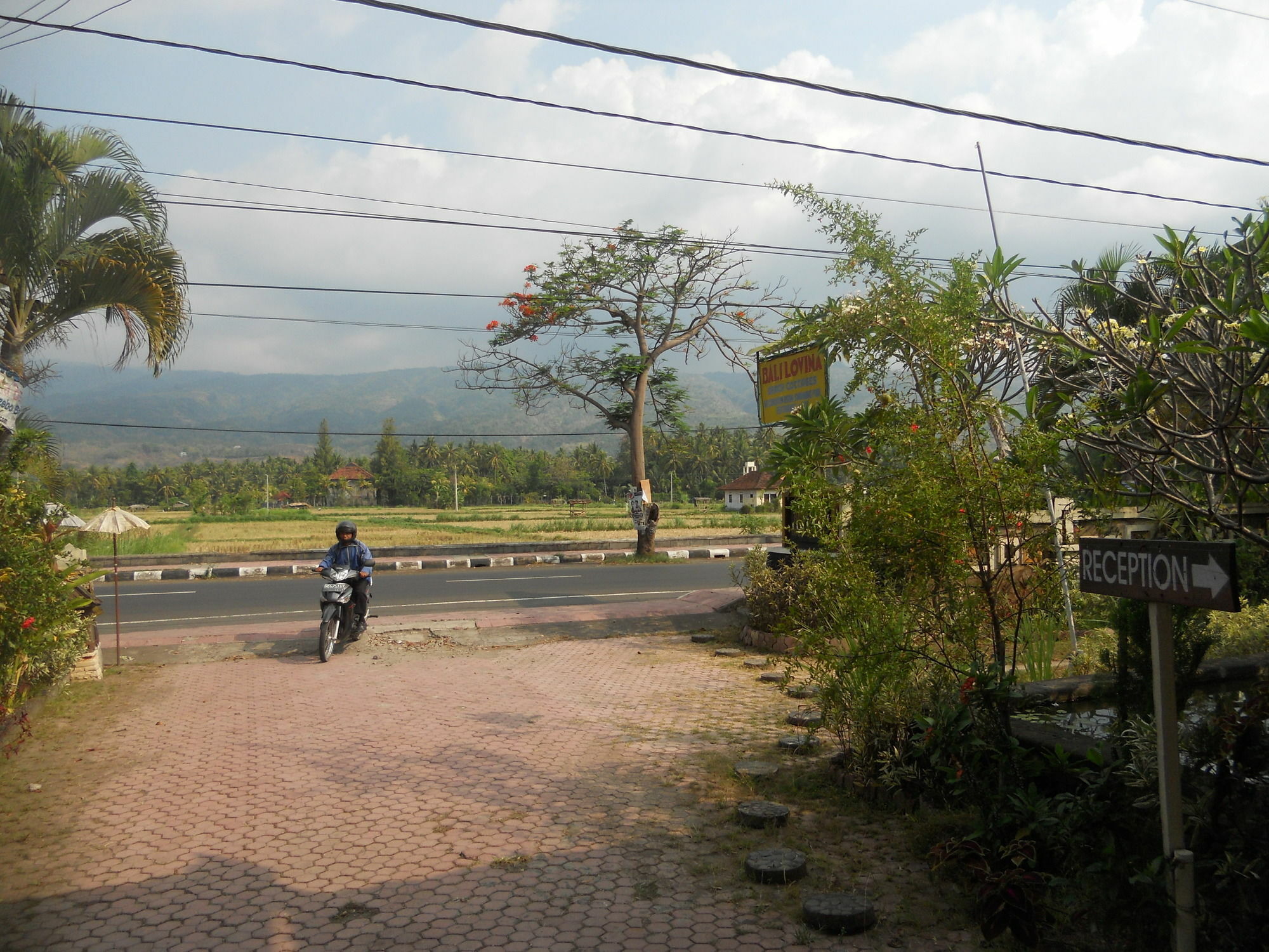 Bali Lovina Beach Cottages Pabean Buleleng Eksteriør billede